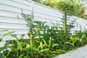 Fence Installation in Delta
